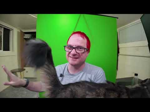 Reetin Channel Update August 2026